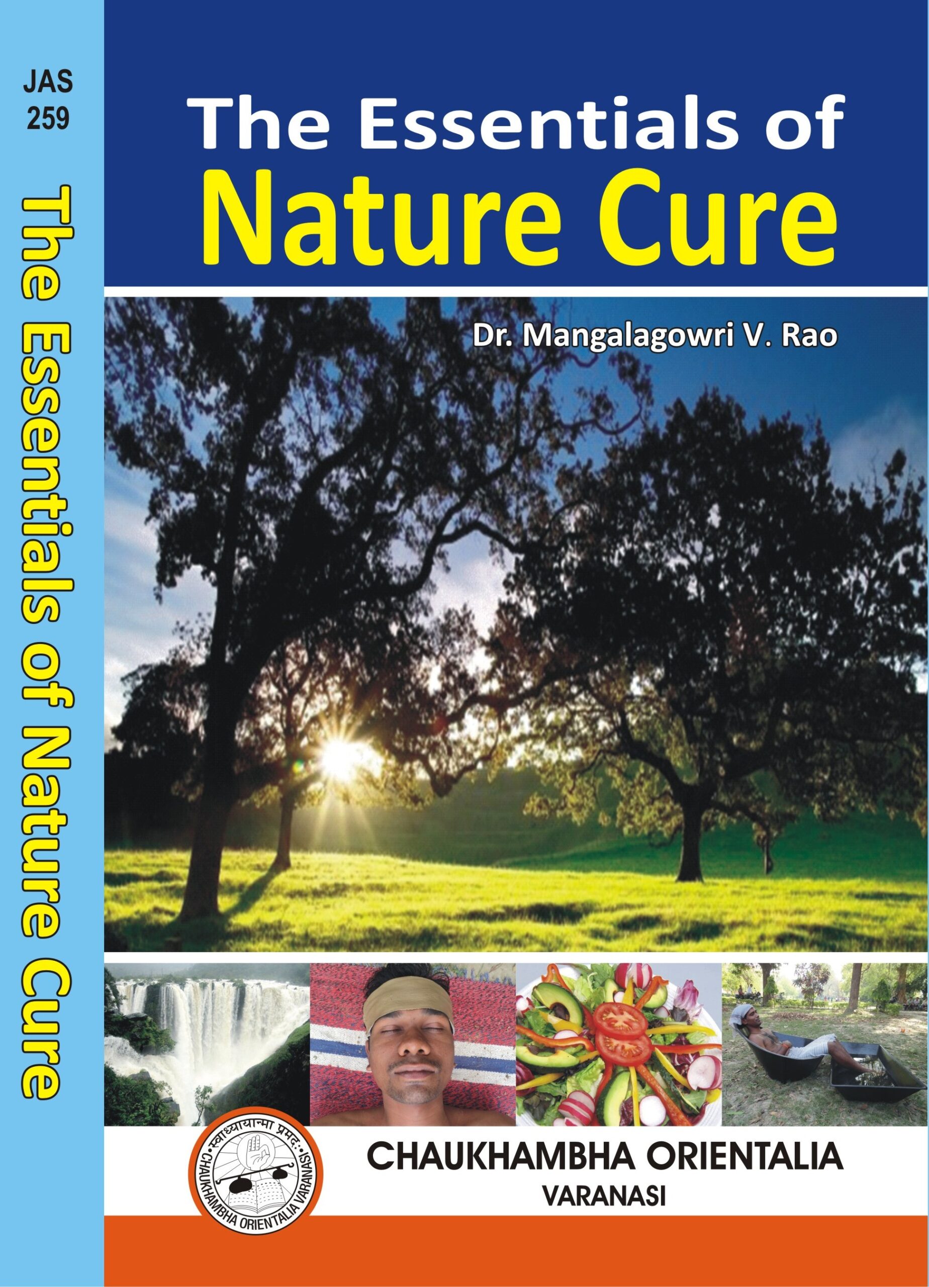 The Essentials of Nature Cure - Chaukhambha